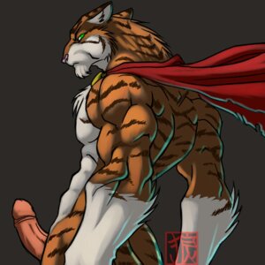 Rating: Explicit Score: 0 Tags: 1:1 2007 anthro barazoku belly biceps big_muscles biped brown_body brown_fur brown_stripes cape cape_only clothing colored e621 erection faint felid fur genitals glans gloves_(marking) glowing glowing_eyes green_eyes grey_background humanoid_genitalia humanoid_penis looking_at_viewer looking_back male mammal markings mostly_nude multicolored_body multicolored_fur muscular muscular_anthro muscular_male nude orange_body orange_fur pantherine pecs penis pose rear_view signature simple_background solo standing striped_body striped_fur stripes tiger white_belly white_body white_fur User: bunchy7s