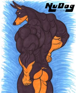 Rating: Questionable Score: 0 Tags: 2006 anthro back_muscles biceps biped black_body black_fur brown_body brown_fur butt canid canine canis dobermann domestic_dog e621 fur male mammal muscular muscular_anthro muscular_male nude nudog pinscher pointy_ears pose prick_ears solo standing User: bunchy7s