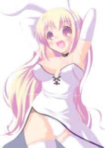 Rating: Explicit Score: 0 Tags: animal_ear armpits arms_up breasts bunny_ear bunny_girl choker cleavage dress elbow_gloves female gloves large_breasts long_hair open_mouth panties pantyshot pantyshot_(standing) rule34 standing strapless thighhighs underwear very_long_hair white_dress white_legwear white_panties white_thighhighs User: bunchy7s Rating: Explicit Score: 0 Tags: animal_ear armpits arms_up breasts bunny_ear bunny_girl choker cleavage dress elbow_gloves female gloves large_breasts long_hair open_mouth panties pantyshot pantyshot_(standing) rule34 standing strapless thighhighs underwear very_long_hair white_dress white_legwear white_panties white_thighhighs User: bunchy7s