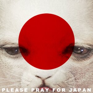 Rating: Safe Score: 0 Tags: 1:1 ambiguous_gender domestic_cat e621 english_text felid feline felis feral flag fur grandfathered_content hi_res japan japanese_flag mammal real religion ryohei_hase solo text whiskers white_body white_fur User: bunchy7s Rating: Safe Score: 0 Tags: 1:1 ambiguous_gender domestic_cat e621 english_text felid feline felis feral flag fur grandfathered_content hi_res japan japanese_flag mammal real religion ryohei_hase solo text whiskers white_body white_fur User: bunchy7s