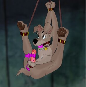 Rating: Explicit Score: 0 Tags: 1boy anthro ball_gag balls bdsm bondage bound brown_body brown_eyes brown_fur canid canine canis collar disney dog domestic_dog e621 egg_vibrator erection feral folwilliar fur gag gagged genitals lady_and_the_tramp male male_only mammal masturbation nude penile penile_masturbation penis rule34 schnauzer sex_toy solo solo_male submissive submissive_male tagme testicles tramp tramp_(lady_and_the_tramp) vibrator vibrator_on_penis User: bunchy7s