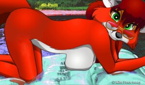 Rating: Questionable Score: 0 Tags: 2005 all_fours anthro black_nose breasts canid canine e621 eyewear female fox fur glasses green_eyes hair kittfoxx looking_at_viewer mammal nude pose red_body red_fur red_hair robin_(silkysworld) side_boob solo swimming_pool tail User: bunchy7s