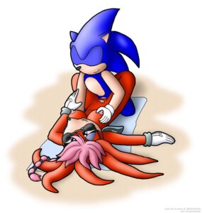 Rating: Explicit Score: 0 Tags: anthro blue_fur echidna female furry hedgehog knownvortex lara-su mammal rule34 sex sonic_(series) sonic_the_hedgehog User: bunchy7s Rating: Explicit Score: 0 Tags: anthro blue_fur echidna female furry hedgehog knownvortex lara-su mammal rule34 sex sonic_(series) sonic_the_hedgehog User: bunchy7s