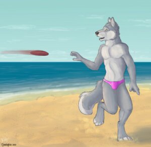 Rating: Questionable Score: 0 Tags: anthro beach bulge canid canine canis chasington clothed clothing cloud e621 frisbee fur grey_body grey_fur male mammal open_mouth outside pink_clothing sand seaside skimpy sky solo speedo swimwear topless walking wolf yellow_eyes User: bunchy7s
