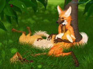 Rating: Questionable Score: 0 Tags: 2010 4:3 anthro basket canid canine cherry cherry_tree colored container detailed detailed_background digital_media_(artwork) digital_painting_(artwork) duo e621 female food fruit fruit_tree grass kalak kekpafrany male male/female mammal maned_wolf painting_(artwork) plant tail tree wallpaper wood User: bunchy7s