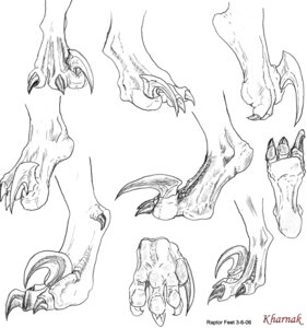 Rating: Safe Score: 0 Tags: 2006 ambiguous_gender claws digitigrade dinosaur dromaeosaurid e621 feet foot_shot graphite_(artwork) hindpaw kharnak monochrome multiple_images paws prehistoric_species reptile saurischian scalie simple_background solo theropod traditional_media_(artwork) velociraptor white_background User: bunchy7s Rating: Safe Score: 0 Tags: 2006 ambiguous_gender claws digitigrade dinosaur dromaeosaurid e621 feet foot_shot graphite_(artwork) hindpaw kharnak monochrome multiple_images paws prehistoric_species reptile saurischian scalie simple_background solo theropod traditional_media_(artwork) velociraptor white_background User: bunchy7s