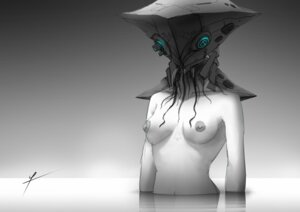 Rating: Questionable Score: 0 Tags: breasts cybernetics cyborg e621 female ldt machine nipples nude science_fiction solo standing User: bunchy7s