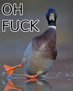 Rating: Safe Score: 0 Tags: anas anatid anseriform avian beak bird dabbling_duck duck e621 english_text falling feet feral grandfathered_content humor male mallard photography_(artwork) profanity real solo text unknown_artist User: bunchy7s