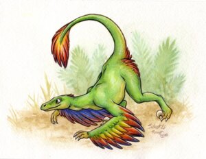 Rating: Safe Score: 0 Tags: 2010 ambiguous_gender brown_eyes claws dinosaur dromaeosaurid e621 feathered_dinosaur feathered_scalie feathers feet feral microraptor prehistoric_species raised_tail reptile saurischian scalie sickle_claw silentravyn simple_background solo tail talons theropod toe_claws toes traditional_media_(artwork) white_background User: bunchy7s