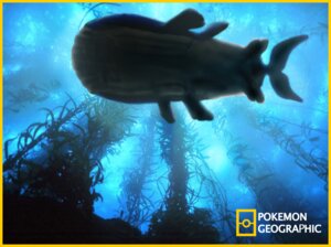 Rating: Safe Score: 0 Tags: ambiguous_gender e621 english_text generation_3_pokemon izzatakiwa national_geographic nintendo pokemon pokemon_(species) pokemon_geographic sea solo text wailord water User: bunchy7s