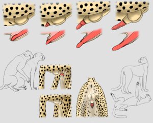 Rating: Explicit Score: 0 Tags: 5:4 after_sex anatomically_correct anatomically_correct_genitalia anatomically_correct_penis animal_genitalia animal_penis anus balls black_sheath_slit cheepard cheetah closed_sheath_slit duo e621 erection felid feline feline_genitalia feline_penis female female_penetrated feral feral_on_feral genitals imminent_sex internal intraspecies male male/female male_penetrating male_penetrating_female mammal markings penetration penile penile_penetration penile_spines penis penis_in_vagina raised_tail sex sheath sheath_slit sketch tail tail_anus vaginal vaginal_penetration vulva User: bunchy7s Rating: Explicit Score: 0 Tags: 5:4 after_sex anatomically_correct anatomically_correct_genitalia anatomically_correct_penis animal_genitalia animal_penis anus balls black_sheath_slit cheepard cheetah closed_sheath_slit duo e621 erection felid feline feline_genitalia feline_penis female female_penetrated feral feral_on_feral genitals imminent_sex internal intraspecies male male/female male_penetrating male_penetrating_female mammal markings penetration penile penile_penetration penile_spines penis penis_in_vagina raised_tail sex sheath sheath_slit sketch tail tail_anus vaginal vaginal_penetration vulva User: bunchy7s