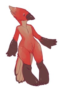 Rating: Safe Score: 0 Tags: anthro avian beak biped bird cardinal_(bird) e621 feathers featureless_crotch front_view karman looking_aside male nude odvunir oscine passerine pinstripedtiger red_body red_feathers simple_background sketch solo standing white_background User: bunchy7s