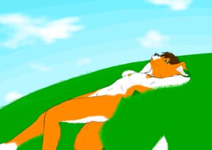 Rating: Questionable Score: 0 Tags: anthro bird_dog breasts canid canine canis cloud domestic_dog e621 female grass hunting_dog koosh-ball legna mammal nude plant relaxing retriever solo summer tail User: bunchy7s Rating: Questionable Score: 0 Tags: anthro bird_dog breasts canid canine canis cloud domestic_dog e621 female grass hunting_dog koosh-ball legna mammal nude plant relaxing retriever solo summer tail User: bunchy7s