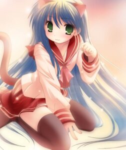 Rating: Questionable Score: 0 Tags: animal_humanoid asian_clothing blue_hair cat_humanoid cat_tail clothing e621 east_asian_clothing felid felid_humanoid feline feline_humanoid female green_eyes hair humanoid japanese_clothing japanese_school_uniform konata_izumi legwear long_hair lucky_star mammal mammal_humanoid markings mole_(marking) namamo_nanase school_uniform serafuku solo tail thigh_highs tomoeda uniform User: bunchy7s