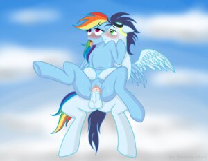 Rating: Explicit Score: 0 Tags: abdominal_bulge animal_genitalia animal_penis balls blue_body blue_feathers blue_fur blush bodily_fluids cloud duo e621 equid equine equine_genitalia equine_penis erection feathered_wings feathers female female_penetrated feral flying flying_sex friendship_is_magic from_behind_position fur genitals hair happy happy_sex hasana-chan hasbro male male/female male_penetrating male_penetrating_female mammal multicolored_hair my_little_pony mythological_creature mythological_equine mythology nude open_mouth outside pegasus penetration penile penile_penetration penis penis_in_vagina rainbow_dash_(mlp) rainbow_hair sex sky skyscape soarin_(mlp) sweat tail tongue tongue_out vaginal vaginal_penetration vulva wings wonderbolts_(mlp) User: bunchy7s