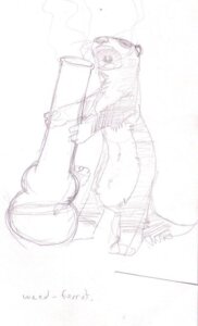 Rating: Safe Score: 0 Tags: bong domestic_ferret drugs e621 english_text feral graphite_(artwork) male mammal marijuana monochrome mustelid musteline nitrogen solo text traditional_media_(artwork) true_musteline weasel User: bunchy7s