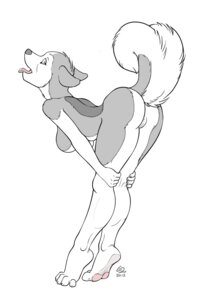 Rating: Explicit Score: 0 Tags: 2012 4_toes anthro bent_over breasts canid canine canis charon2 domestic_dog e621 feet female genitals hi_res hindpaw husky mammal nordic_sled_dog nude paws plantigrade presenting raised_tail side_boob simple_background solo spitz tail toes vulva User: bunchy7s