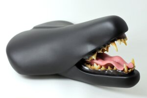 Rating: Safe Score: 0 Tags: ambiguous_gender bicycle_seat canid canine e621 fangs feral mammal photo solo taxidermy teeth tongue unknown_artist User: bunchy7s