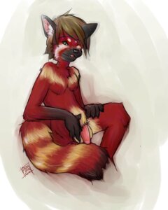 Rating: Explicit Score: 0 Tags: 4:5 ailurid anthro balls bearbun chest_tuft e621 flaccid fur genitals male mammal nude penis red_panda shota solo tail tuft young young_anthro young_male User: bunchy7s