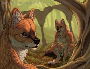Rating: Safe Score: 0 Tags: 2009 anthro bottomwear canid canine canis clothing detailed_background dhole duo e621 forest katie_hofgard loincloth looking_at_viewer male mammal outside plant ruins scenery tail tree wolf wood User: bunchy7s Rating: Safe Score: 0 Tags: 2009 anthro bottomwear canid canine canis clothing detailed_background dhole duo e621 forest katie_hofgard loincloth looking_at_viewer male mammal outside plant ruins scenery tail tree wolf wood User: bunchy7s