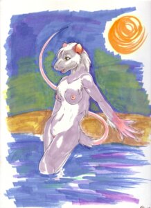 Rating: Explicit Score: 0 Tags: anthro biped breasts e621 female genitals mammal murid murine nipples nude rat rodent snowy_dragon solo standing sun tail vulva water whiskers User: bunchy7s