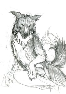 Rating: Explicit Score: 0 Tags: animal_genitalia animal_penis anthro canid canine canine_genitalia canine_penis canis domestic_dog e621 genitals greyscale java male mammal monochrome nude penis simple_background sketch solo tail white_background User: bunchy7s Rating: Explicit Score: 0 Tags: animal_genitalia animal_penis anthro canid canine canine_genitalia canine_penis canis domestic_dog e621 genitals greyscale java male mammal monochrome nude penis simple_background sketch solo tail white_background User: bunchy7s