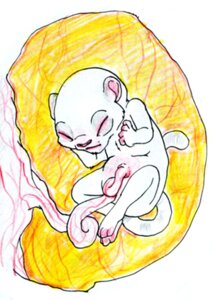 Rating: Questionable Score: 0 Tags: ambiguous_gender anthro e621 embryo felid fetus low_res mammal solo tail umbilical_cord young young_anthro zeriara User: bunchy7s Rating: Questionable Score: 0 Tags: ambiguous_gender anthro e621 embryo felid fetus low_res mammal solo tail umbilical_cord young young_anthro zeriara User: bunchy7s