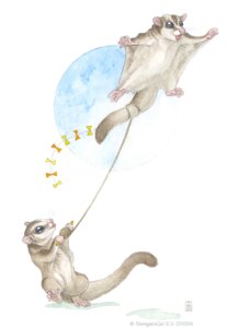 Rating: Safe Score: 0 Tags: 2010 ambiguous_gender australian_possum blue_eyes brown_body brown_fur colored_pencil_(artwork) duo e621 feral flying fur kite mammal marsupial membrane_(anatomy) open_mouth patagium petaurid semi-anthro shinigamigirl simple_background standing string sugar_glider tail tongue traditional_media_(artwork) whiskers white_background User: bunchy7s Rating: Safe Score: 0 Tags: 2010 ambiguous_gender australian_possum blue_eyes brown_body brown_fur colored_pencil_(artwork) duo e621 feral flying fur kite mammal marsupial membrane_(anatomy) open_mouth patagium petaurid semi-anthro shinigamigirl simple_background standing string sugar_glider tail tongue traditional_media_(artwork) whiskers white_background User: bunchy7s