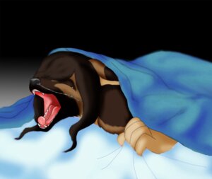 Rating: Safe Score: 0 Tags: ambiguous_gender anthro canid canine chain_piercing e621 facial_chain_piercing linked_piercing mammal merevin merevin_baxton nose_chain open_mouth piercing solo teeth tired tongue yawn User: bunchy7s