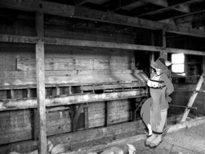 Rating: Questionable Score: 0 Tags: 4:3 anthro bdsm blindfold bondage bondofox_(artist) bound canid canine cassie_(foxonian) clothing dipstick_tail e621 female fox gag gagged greyscale kidnapping legwear mammal markings mixed_media monochrome muzzle_(object) muzzled photo_background photography_(artwork) rock shopped solo submissive submissive_female tail tail_markings third-party_edit torn_clothing User: bunchy7s Rating: Questionable Score: 0 Tags: 4:3 anthro bdsm blindfold bondage bondofox_(artist) bound canid canine cassie_(foxonian) clothing dipstick_tail e621 female fox gag gagged greyscale kidnapping legwear mammal markings mixed_media monochrome muzzle_(object) muzzled photo_background photography_(artwork) rock shopped solo submissive submissive_female tail tail_markings third-party_edit torn_clothing User: bunchy7s