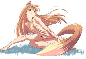 Rating: Questionable Score: 0 Tags: animal_humanoid breasts brown_hair canid canid_humanoid canine canine_humanoid canis e621 female hair holo_(spice_and_wolf) humanoid mammal mammal_humanoid nipples nude p.k. red_eyes small_breasts smile solo spice_and_wolf tail wolf wolf_humanoid User: bunchy7s