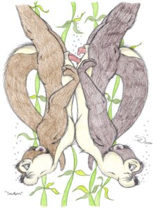Rating: Explicit Score: 0 Tags: anthro duo e621 erection fully/fully_submerged fully_submerged genitals male male/male mammal mustelid nude otter penis penis_tip sex sex_in_water sherwood tail underwater underwater_sex water User: bunchy7s