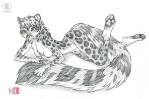 Rating: Questionable Score: 0 Tags: 2012 anthro breasts casual_nudity e621 feet felid female greyscale hair hindpaw kacey leopard leopard_spots long_tail looking_at_viewer mammal monochrome nipples nude pantherine paws pinup pose simple_background sketch snow_leopard solo spots tail white_background User: bunchy7s Rating: Questionable Score: 0 Tags: 2012 anthro breasts casual_nudity e621 feet felid female greyscale hair hindpaw kacey leopard leopard_spots long_tail looking_at_viewer mammal monochrome nipples nude pantherine paws pinup pose simple_background sketch snow_leopard solo spots tail white_background User: bunchy7s