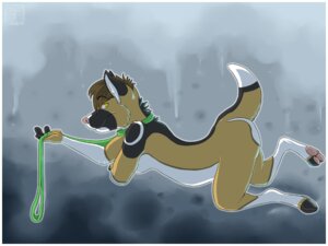 Rating: Questionable Score: 0 Tags: 2011 4:3 all_fours anthro biped breasts canid canine canis collar domestic_dog e621 female hybrid leash lying mammal milligram_smile nude on_front side_boob solo tail walkies wolf yellow_eyes User: bunchy7s