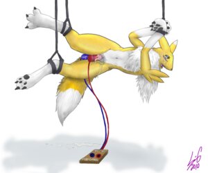 Rating: Explicit Score: 0 Tags: anthro bondage bound canine color crying crying_with_eyes_open digimon digimon_(species) female female_only fox front_view furry no_humans pussy pussy_juice renamon rule34 sex_toys solo suspension tagme tail vibrator User: bunchy7s Rating: Explicit Score: 0 Tags: anthro bondage bound canine color crying crying_with_eyes_open digimon digimon_(species) female female_only fox front_view furry no_humans pussy pussy_juice renamon rule34 sex_toys solo suspension tagme tail vibrator User: bunchy7s
