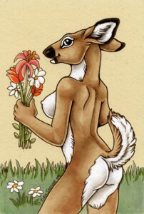 Rating: Questionable Score: 0 Tags: 2010 anthro breasts daisy_(flower) deer e621 female flower lily_(flower) mammal nipples nude outside plant side_boob signature solo tail tulip_(flower) xianjaguar User: bunchy7s Rating: Questionable Score: 0 Tags: 2010 anthro breasts daisy_(flower) deer e621 female flower lily_(flower) mammal nipples nude outside plant side_boob signature solo tail tulip_(flower) xianjaguar User: bunchy7s