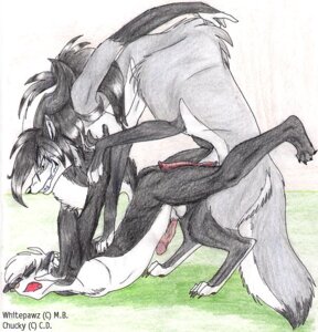 Rating: Explicit Score: 0 Tags: animal_genitalia animal_penis anthro canine canine_genitalia canine_penis domination fur furry futanari gay grin herm intersex knot male mayra_boyle mounting penis rape rule34 skunk taur whitepawz wolf User: bunchy7s
