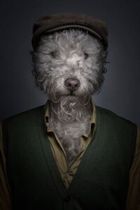 Rating: Safe Score: 0 Tags: 2:3 anthro canid canine clothing e621 half-length_portrait hat headgear headwear male mammal photo photo_manipulation portrait sebastian_magnani shirt solo third-party_edit topwear vest User: bunchy7s