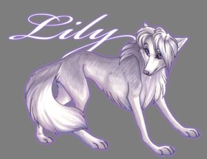 Rating: Safe Score: 0 Tags: alpha_and_omega alpha_channel blue_eyes canid canine canis cockiestspaniel e621 female feral fur hair lilly_(alpha_and_omega) mammal smile solo standing white_body white_fur white_hair wolf User: bunchy7s