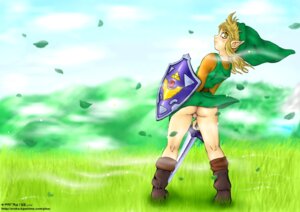 Rating: Explicit Score: 0 Tags: a_link_to_the_past androgynous ass balls bottomless gay link link_(a_link_to_the_past) male male_only nintendo penis rule34 shield straight_hair sword the_legend_of_zelda tunic yaoi User: bunchy7s