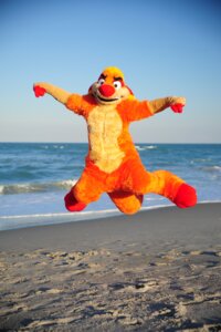 Rating: Safe Score: 0 Tags: 2010 ambiguous_gender anthro arms_out beach biped chorca_(artist) clothing costume detailed_background e621 fur fursuit grandfathered_content herpestid jumping looking_at_viewer mammal meerkat orange_body orange_fur outside photography_(artwork) real sand sea seaside sky solo waji water woo_yay User: bunchy7s