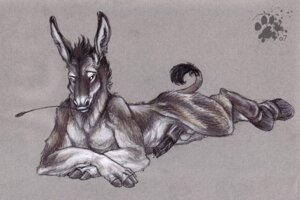 Rating: Explicit Score: 0 Tags: 1boy animal_genitalia animal_penis anthro blotch colored_background donkey equine fingerhooves fur furry furry_only hooves horsecock male male_only nude penis rule34 solo User: bunchy7s