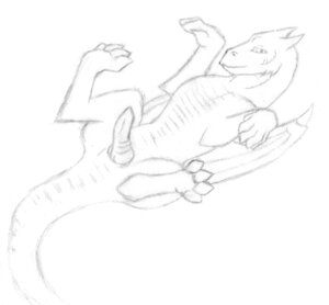 Rating: Explicit Score: 0 Tags: black_and_white dragon e621 erection feral genitals knot koosh-ball looking_at_viewer male monochrome mythological_creature mythological_scalie mythology penis presenting ridges scalie sketch solo spread_legs spreading tail traditional_media_(artwork) User: bunchy7s