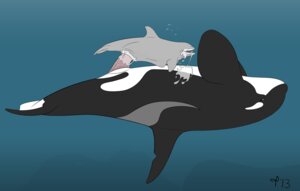 Rating: Explicit Score: 0 Tags: 2013 abdominal_bulge animal_genitalia animal_penis aquatic bodily_fluids cetacean cetacean_genitalia cetacean_penis cum cum_from_mouth cum_in_mouth cum_in_vagina cum_inside cum_through dolphin dominant duo e621 erection female feral feral_on_feral fully/fully_submerged fully_submerged genital_fluids genitals hi_res larger_dom larger_male male male/female mammal nude oceanic_dolphin orca penis sex sex_in_water size_difference smaller_female tapering_penis tasuric toothed_whale underwater underwater_sex upside_down vaginal water User: bunchy7s Rating: Explicit Score: 0 Tags: 2013 abdominal_bulge animal_genitalia animal_penis aquatic bodily_fluids cetacean cetacean_genitalia cetacean_penis cum cum_from_mouth cum_in_mouth cum_in_vagina cum_inside cum_through dolphin dominant duo e621 erection female feral feral_on_feral fully/fully_submerged fully_submerged genital_fluids genitals hi_res larger_dom larger_male male male/female mammal nude oceanic_dolphin orca penis sex sex_in_water size_difference smaller_female tapering_penis tasuric toothed_whale underwater underwater_sex upside_down vaginal water User: bunchy7s