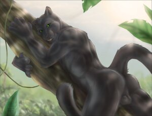 Rating: Explicit Score: 0 Tags: 2009 anthro backsack balls black_body black_fur butt claws detailed_background e621 felid fur genitals green_eyes leaning looking_at_viewer looking_back male mammal melanistic muscular muscular_anthro muscular_male nature nude outside pantherine plant pose raised_tail smile solo sun tail teeth tree whiskers wood zenthetiger User: bunchy7s Rating: Explicit Score: 0 Tags: 2009 anthro backsack balls black_body black_fur butt claws detailed_background e621 felid fur genitals green_eyes leaning looking_at_viewer looking_back male mammal melanistic muscular muscular_anthro muscular_male nature nude outside pantherine plant pose raised_tail smile solo sun tail teeth tree whiskers wood zenthetiger User: bunchy7s