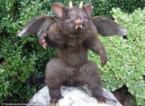 Rating: Questionable Score: 0 Tags: ambiguous_gender andrew_lancaster boulder claws e621 fail fangs feathered_wings feathers feral grandfathered_content horn hybrid mammal plant plushie real rock rodent shrub solo teeth what what_has_science_done wings User: bunchy7s