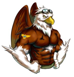 Rating: Safe Score: 0 Tags: 2012 5_fingers abs accipitrid accipitriform anthro arm_tattoo avian bald_eagle beak biceps bird bottomwear brown_body brown_feathers chest_tattoo chest_tuft clothed clothing e621 eagle eyebrows eyewear feather_tuft feathered_wings feathers fingers fist flexing goggles golden_charlie half-length_portrait hi_res looking_at_viewer male multicolored_body multicolored_feathers muscular muscular_anthro muscular_male pants pecs portrait sea_eagle simple_background smile smiling_at_viewer solo tattoo topless tuft white_background white_body white_feathers winged_arms wings yellow_beak yellow_eyes User: bunchy7s