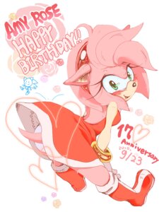Rating: Safe Score: 0 Tags: 3:4 accessory amy_rose anthro arched_back big_eyes big_head blush boots bracelet clothing e621 eulipotyphlan ezume_90 female footwear hair hair_accessory hairband hedgehog jewelry mammal panties pink_body pink_hair sega shoes solo sonic_the_hedgehog sonic_the_hedgehog_(series) toony underwear User: bunchy7s
