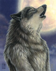 Rating: Safe Score: 0 Tags: 2007 4:5 anthro black_nose canid canine canis cloud detailed detailed_background e621 eyes_closed full_moon fur grey_body grey_fur half-length_portrait howl kacey male mammal moon night nude open_mouth outside portrait realistic side_view sky solo teeth whiskers wolf User: bunchy7s Rating: Safe Score: 0 Tags: 2007 4:5 anthro black_nose canid canine canis cloud detailed detailed_background e621 eyes_closed full_moon fur grey_body grey_fur half-length_portrait howl kacey male mammal moon night nude open_mouth outside portrait realistic side_view sky solo teeth whiskers wolf User: bunchy7s
