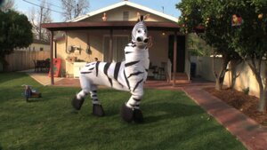 Rating: Safe Score: 0 Tags: ambiguous_gender animated animated_gif black_stripes building chair clothing costume dancing dark_stripes day door dope_zebra e621 equid equine fence feral fruit_tree furniture grandfathered_content grass hooves house humor lawn lmfao_(band) low_res mammal mythical_entertainment outside pattern_costume pavement plant real scenery short_playtime solo striped_costume stripes tree tricycle unknown_artist vehicle walkway wood zebra User: bunchy7s